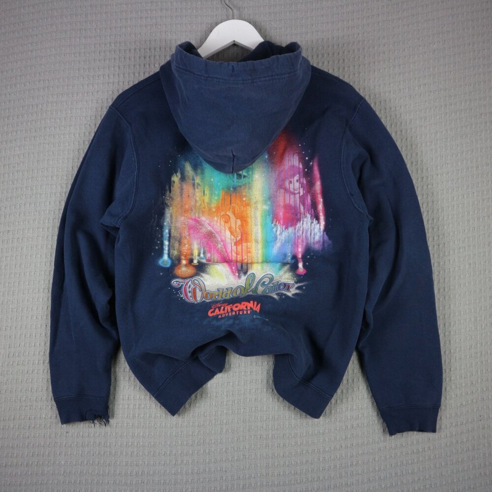 Distressed World of Colour Disney California Hoodie